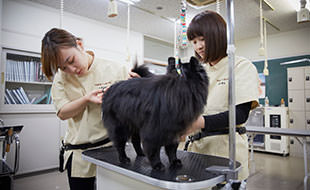 模型でのトリミング完成