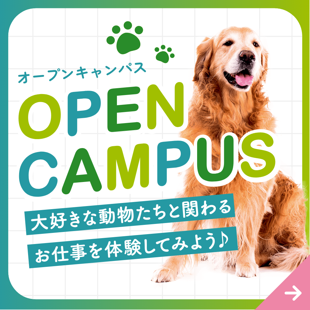 オープンキャンパス