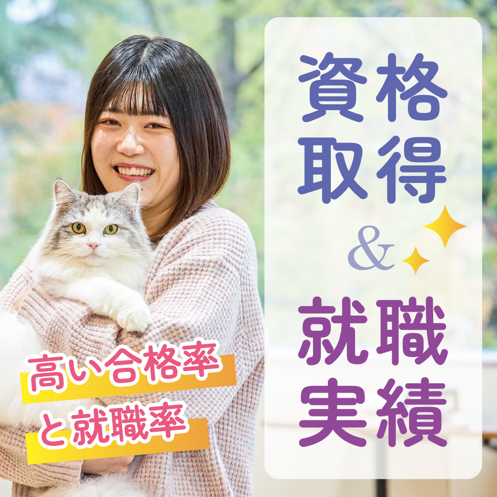 資格取得&就職実績