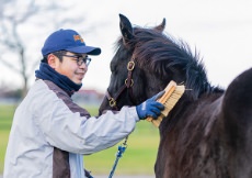 卒業後の活躍フィールド