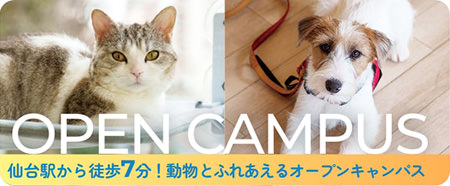 仙台駅から徒歩7分オープンキャンパス
