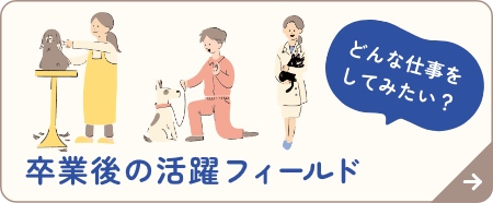 卒業後の活躍フィールド