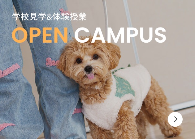 学校見学&体験授業 OPEN CAMPUS