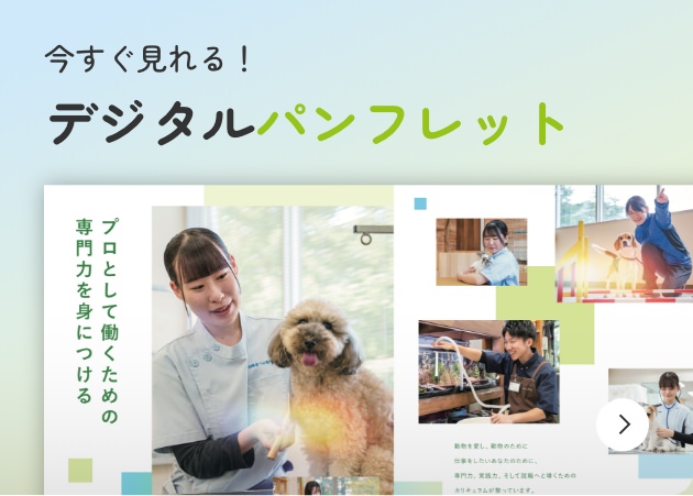 今すぐ見れる! デジタルパンフレット