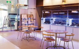 土日個別相談会