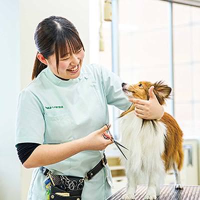 就職・資格取得に強い！業界への道をサポート