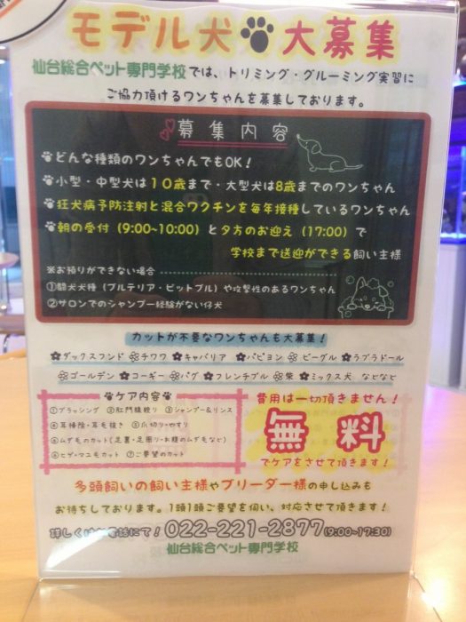 募集
