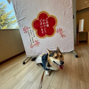 トレーナ科の学生もパートナードッグもめでたく卒業いたしました(*˘︶˘*).｡.:*♡