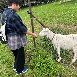<span class="title">【校外研修】今年も行きました！！【フラワー科お花の専門学校】</span>