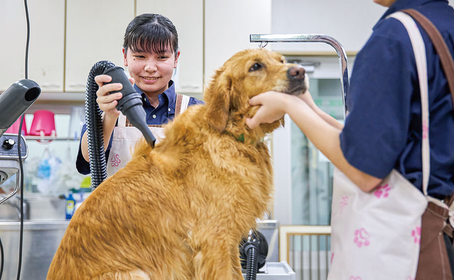 授業
