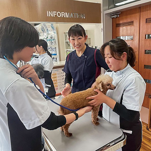 授業