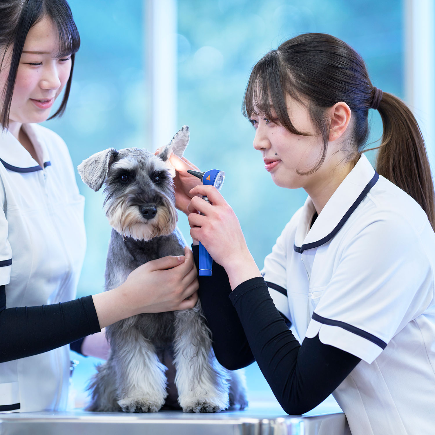 授業