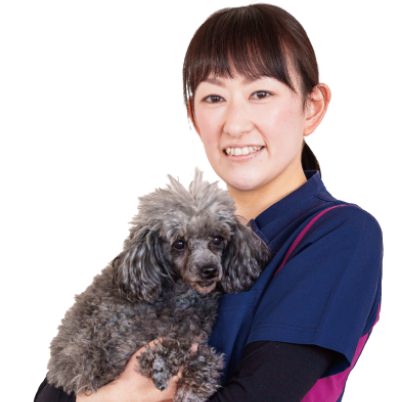 教員紹介