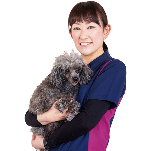 佐々木 麻衣先生