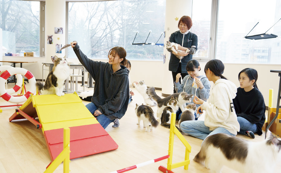 動物看護総合実習