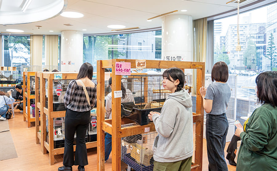 オープンキャンパスの様子