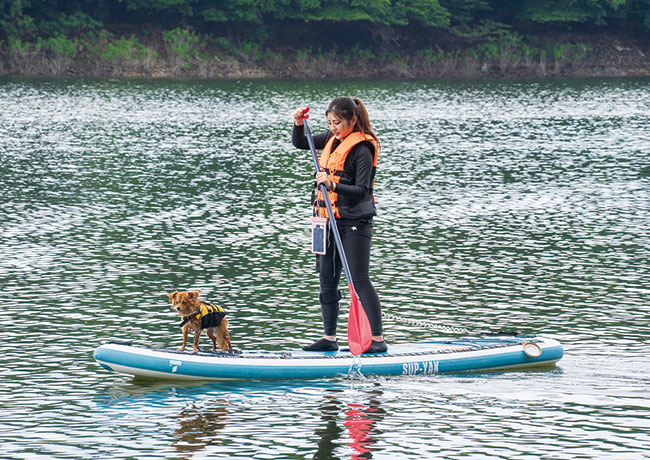 Dog SUP