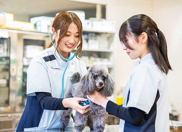 愛玩動物看護科