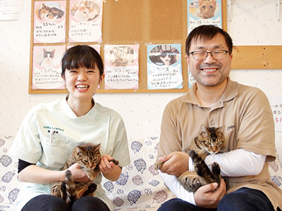 保護猫シェルター実習