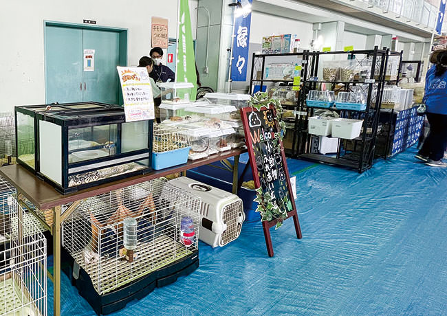 東北ペットフェス