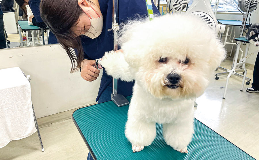 トレーニング実習