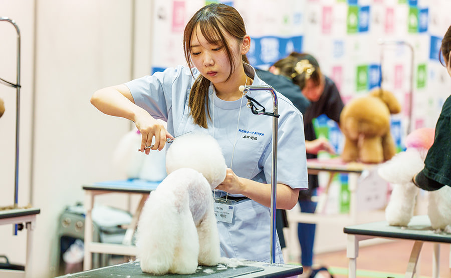 トリミングコンテスト