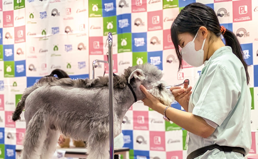 トリミングコンテスト
