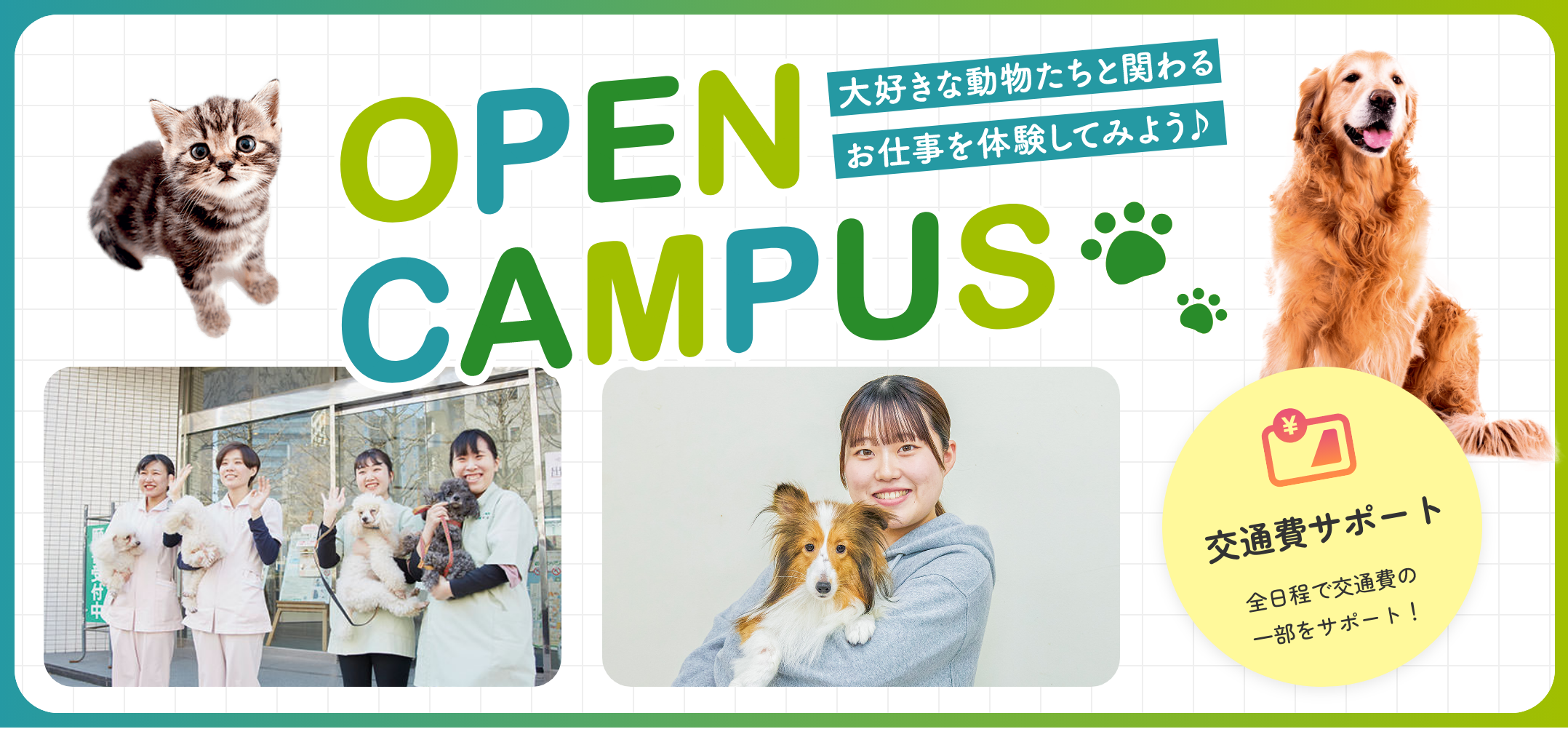 オープンキャンパス 動物たちと関わる仕事を体験してみよう