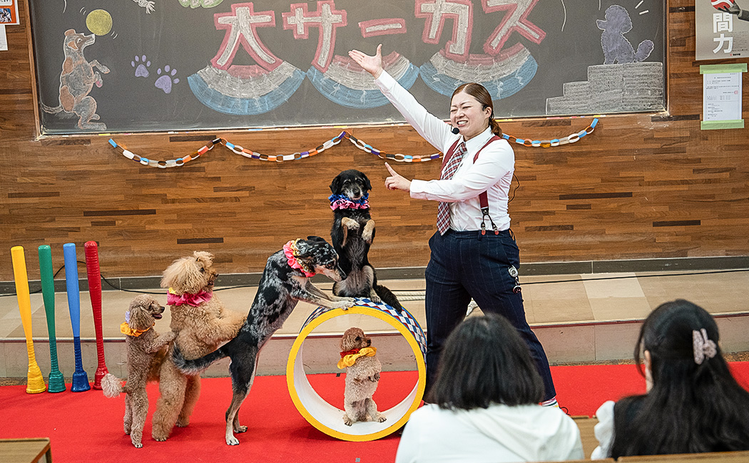 わんわんサーカス